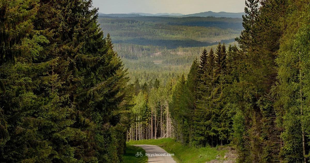 Kona Gravel Guide - BicycleCost