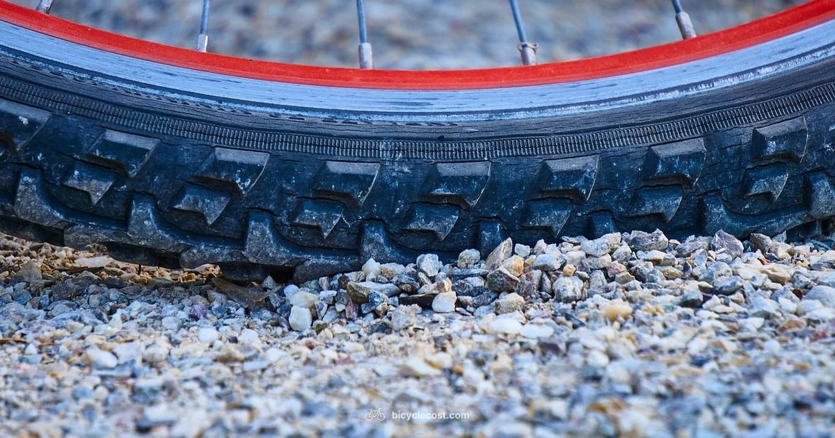 Tire Pressure Guide - BicycleCost