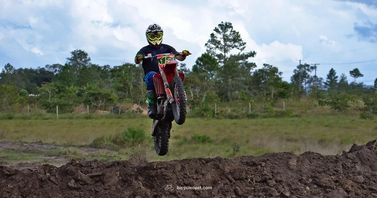 Bike Size Guide - BicycleCost