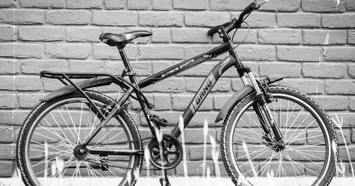 Bike Fit Essentials - BicycleCost