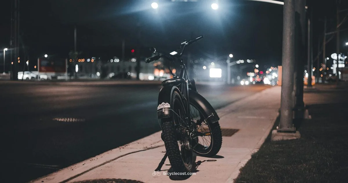 Electric Cycle Essentials - BicycleCost