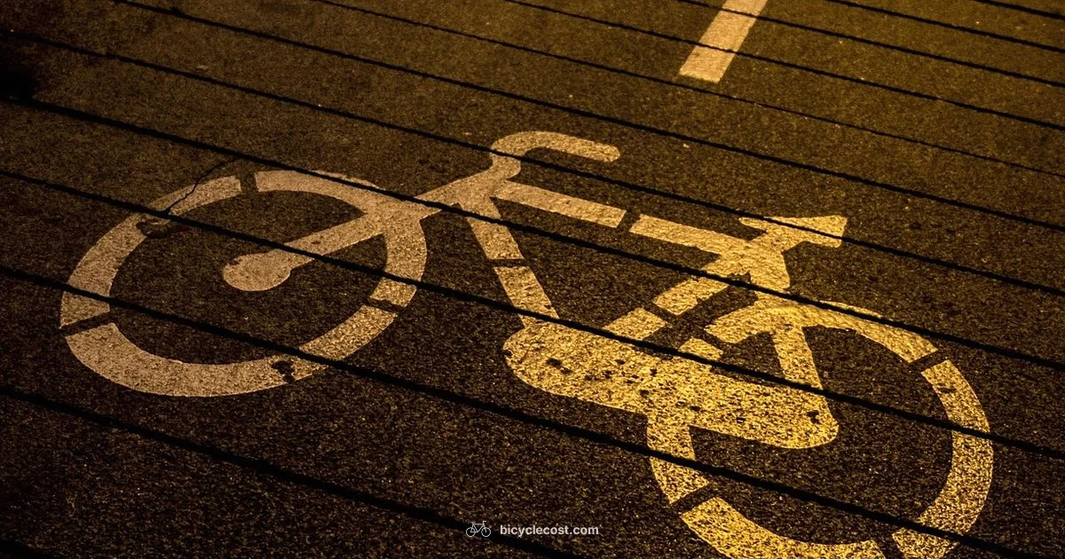 Bike Lane Markings - BicycleCost