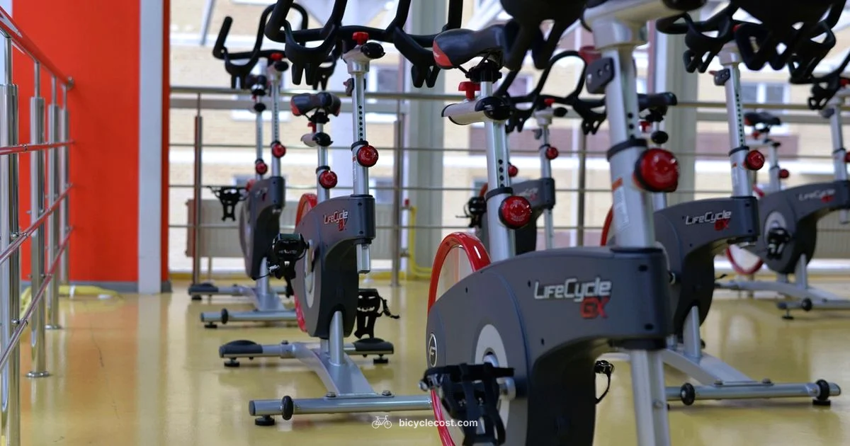 Home Cardio Picks - BicycleCost