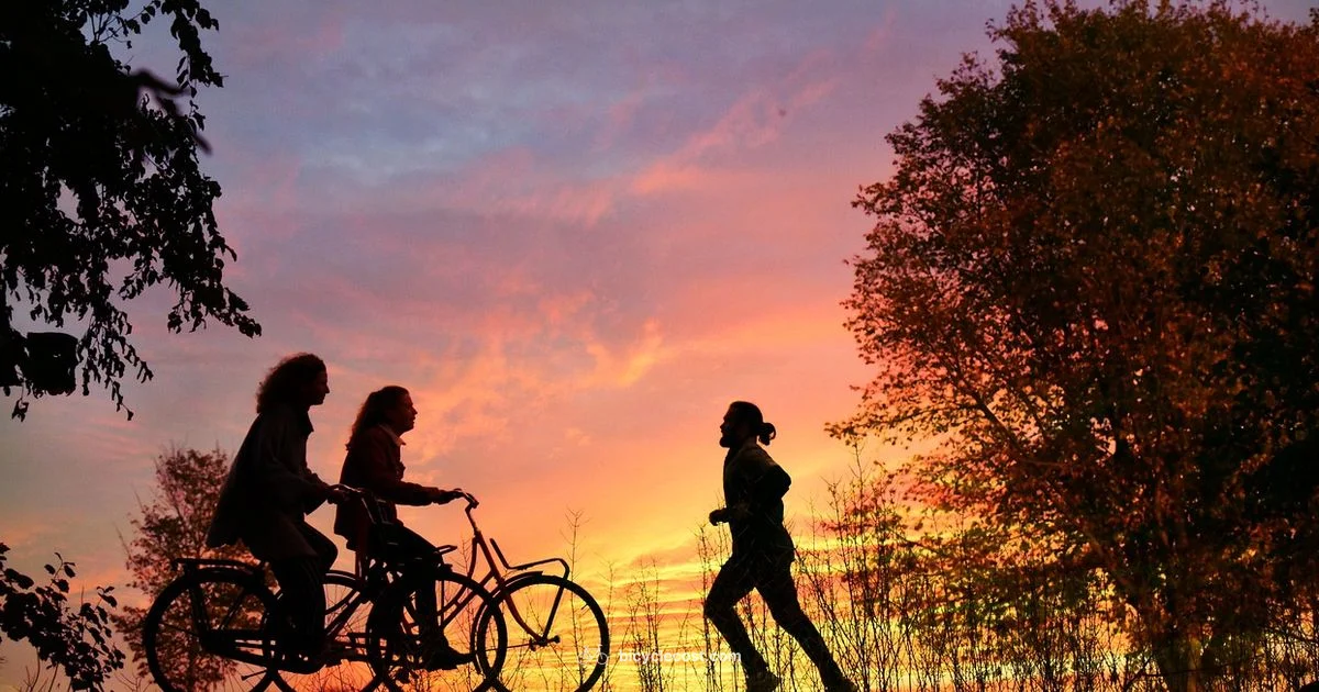 Abs and Cycling - BicycleCost