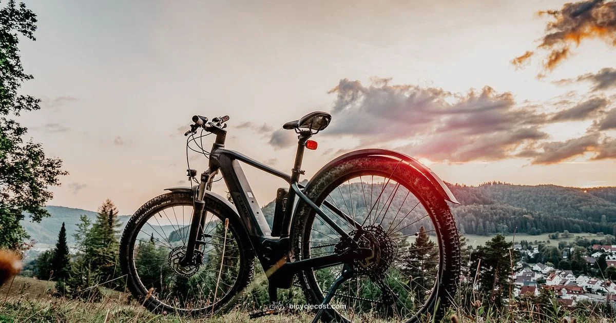 Best Brand Picks - BicycleCost