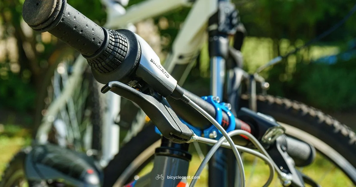 Adult Bike Size - BicycleCost