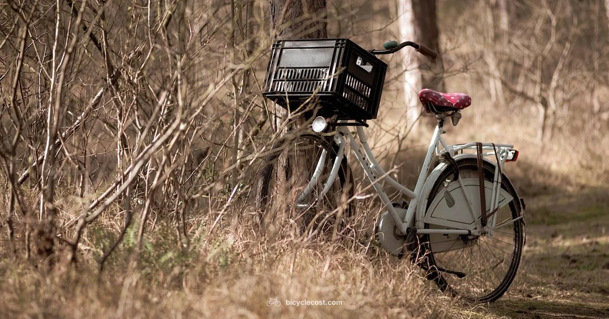 Top Bicycle Brands 2026 Top Bicycle Brands 2026 - BicycleCost