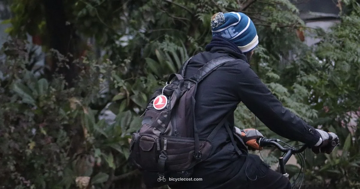 Passive Voice Guide - BicycleCost