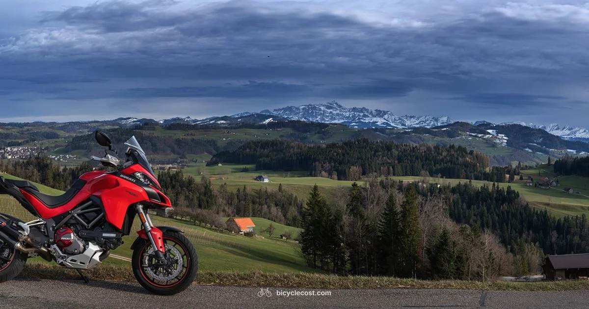 Ducati Bicycles Guide - BicycleCost