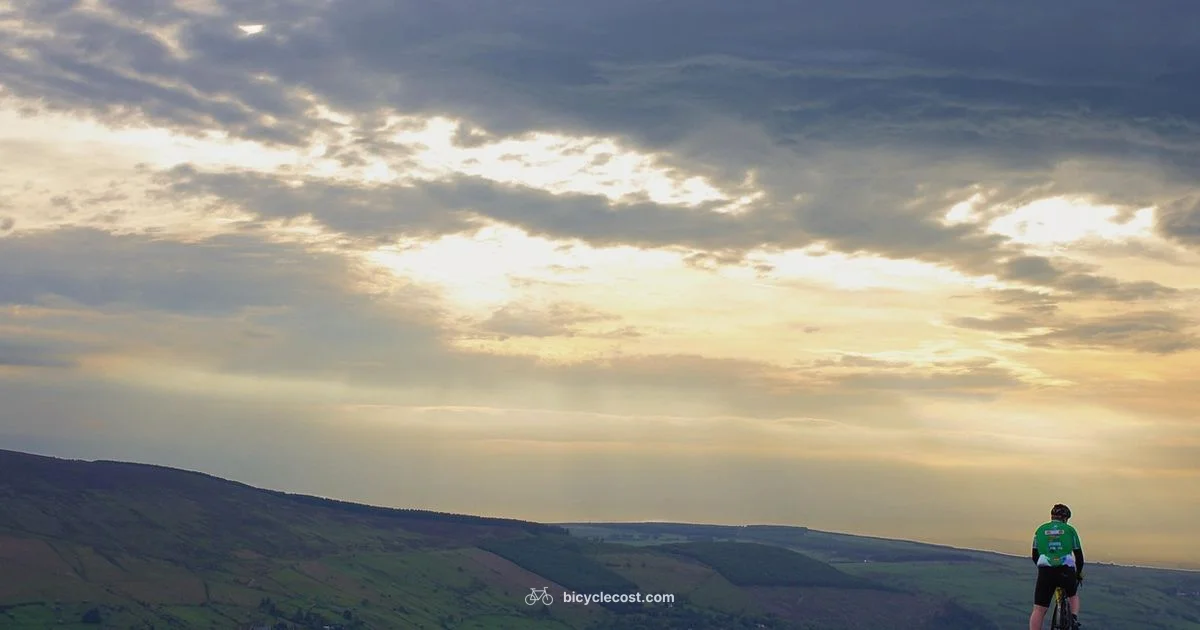 Male Cycles Guide - BicycleCost