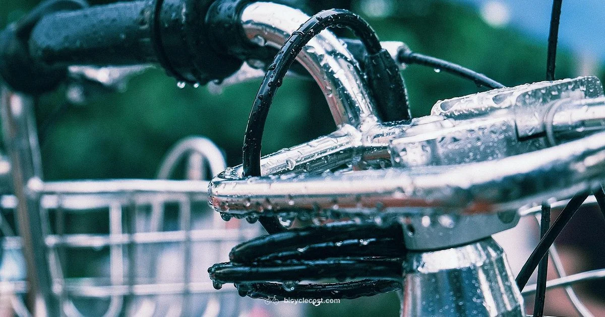 Accident Guide - BicycleCost