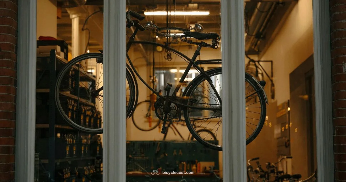 Chainless Bicycle Guide - BicycleCost