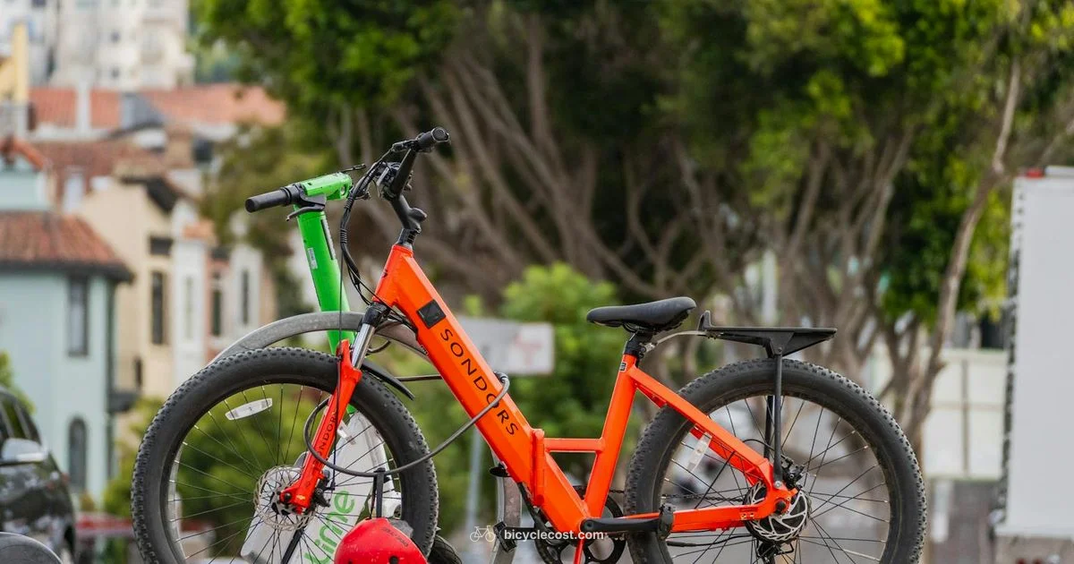 Budget E-Bike Picks - BicycleCost