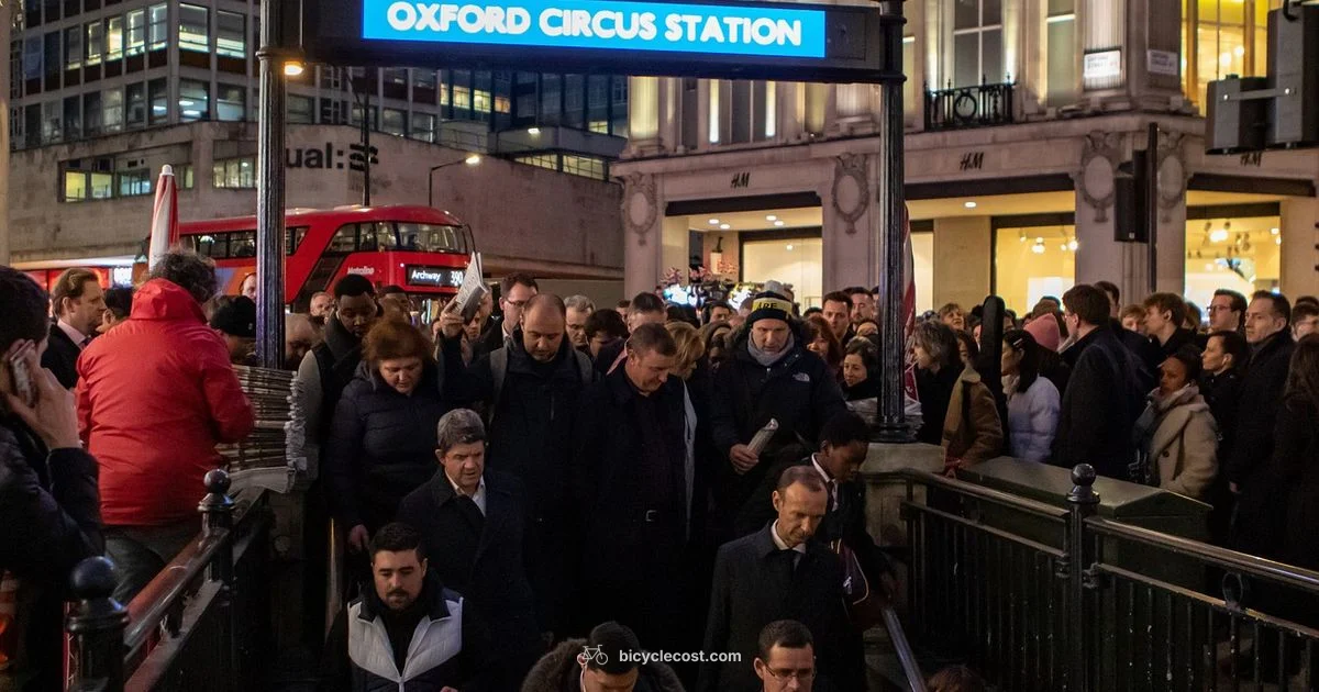 District Line Bike Guide - BicycleCost