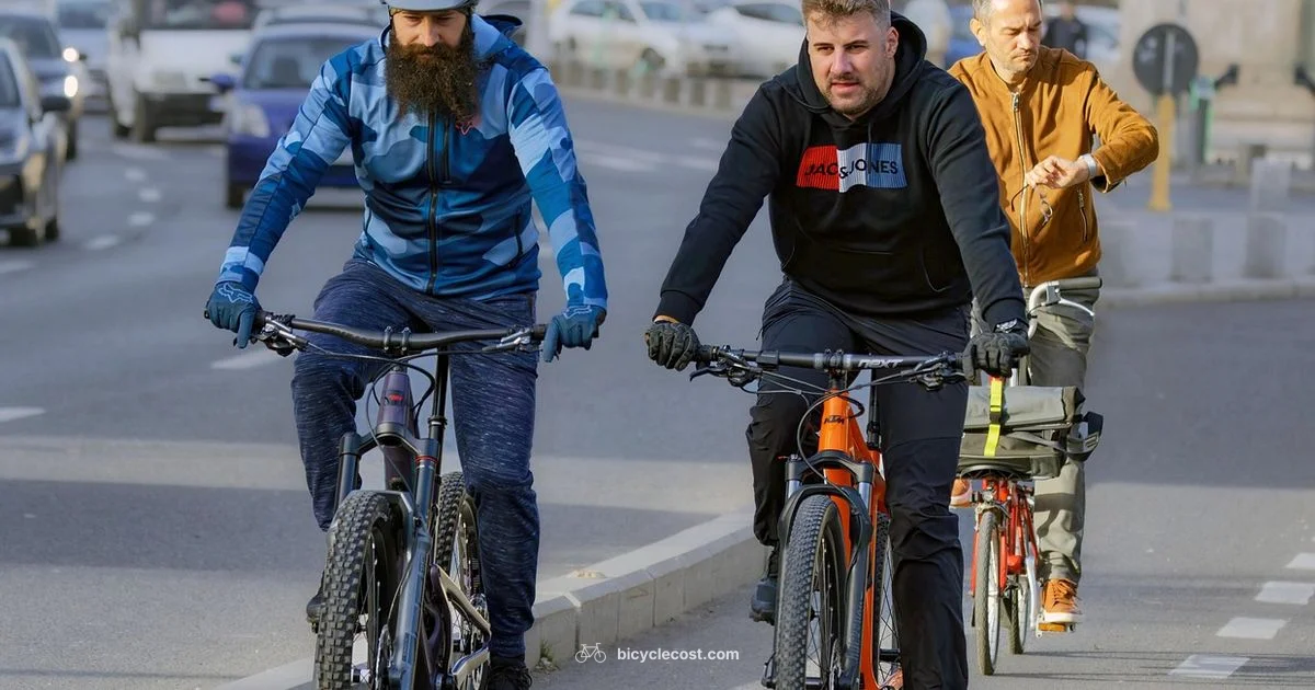 Bicycle Lane Essentials - BicycleCost