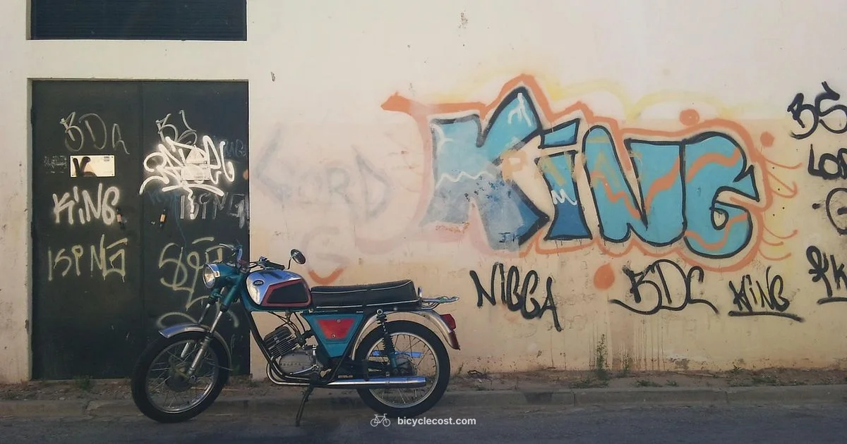 Wing Bikes Guide - BicycleCost