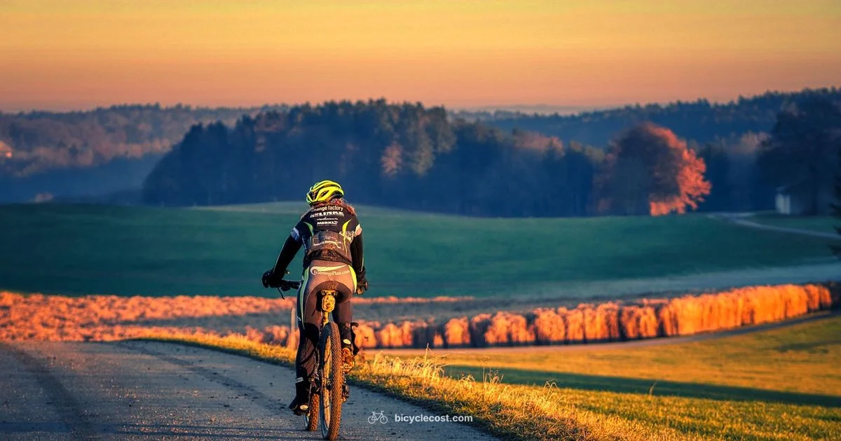 Sport Bicycle Guide - BicycleCost