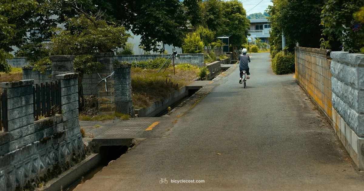Bicycle in Japanese - BicycleCost