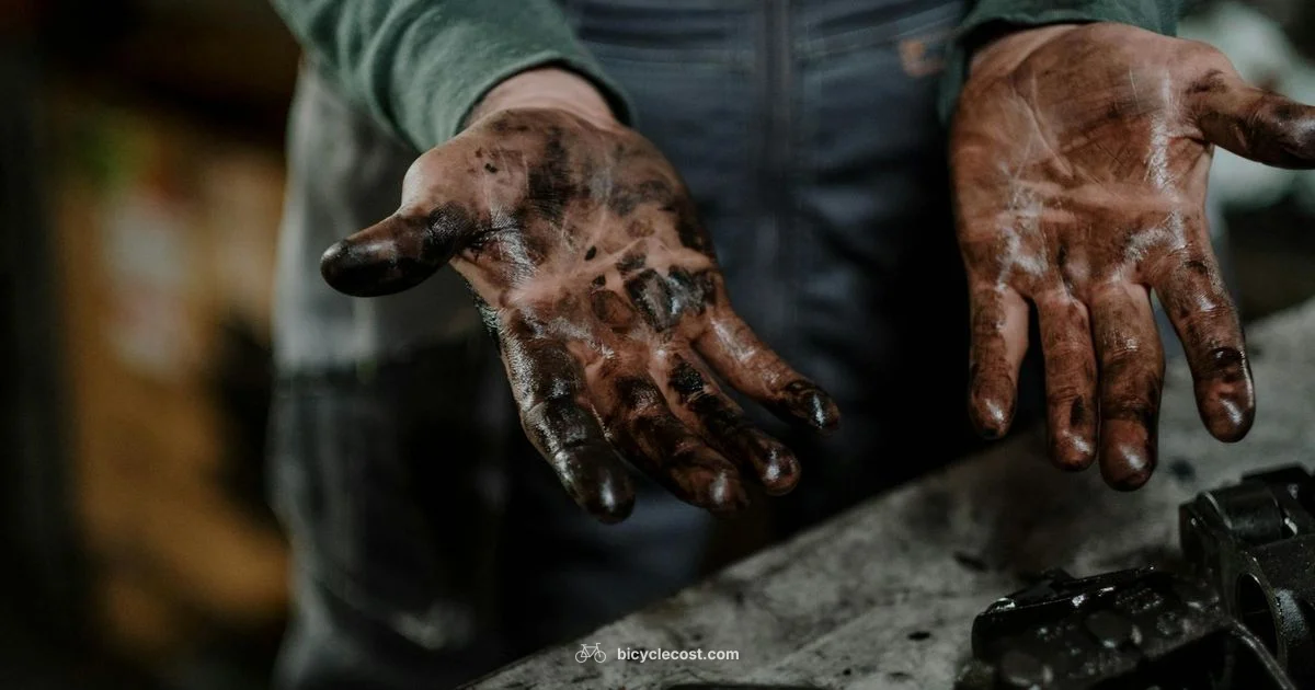 Grease Cleanup Guide - BicycleCost