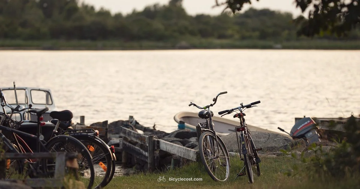 Queen Brand Bicycle - BicycleCost