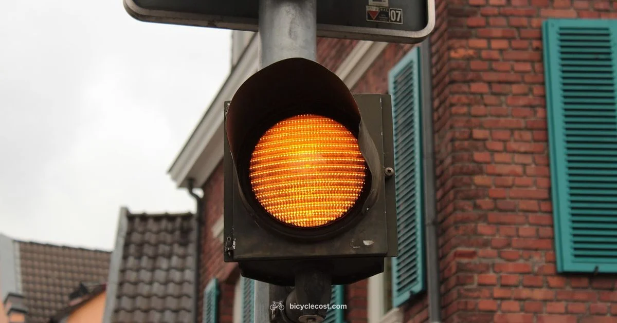 Signal While Turning - BicycleCost