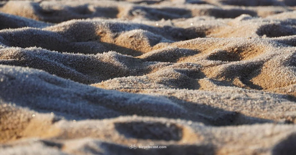 Beach Ready Bike - BicycleCost