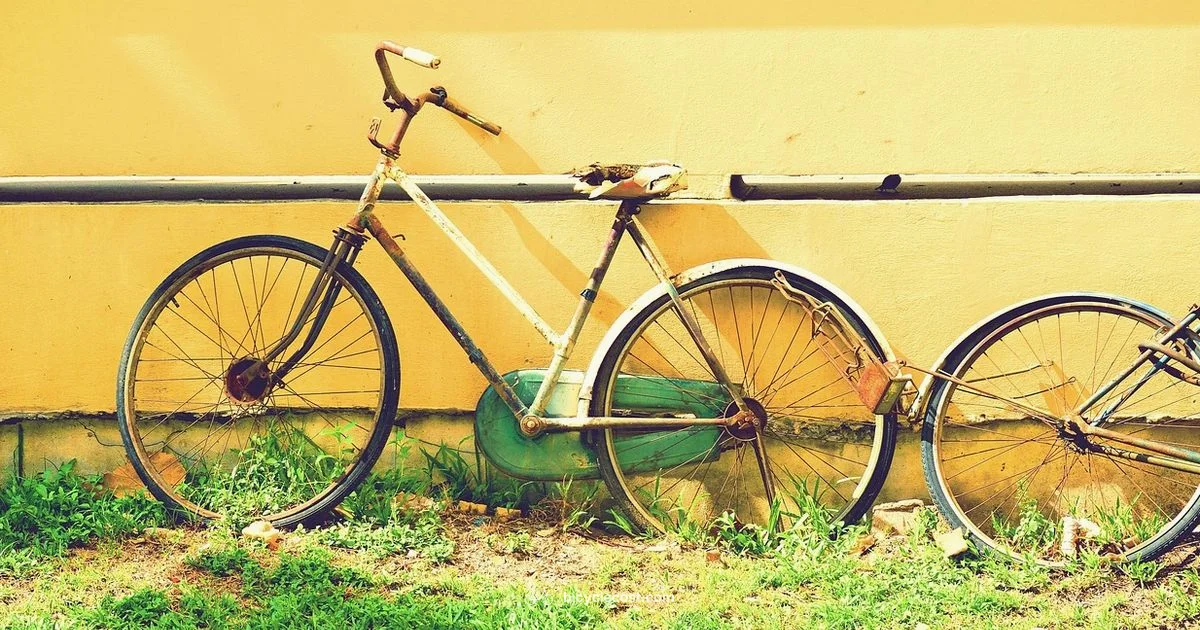 Old Bicycle Guide - BicycleCost