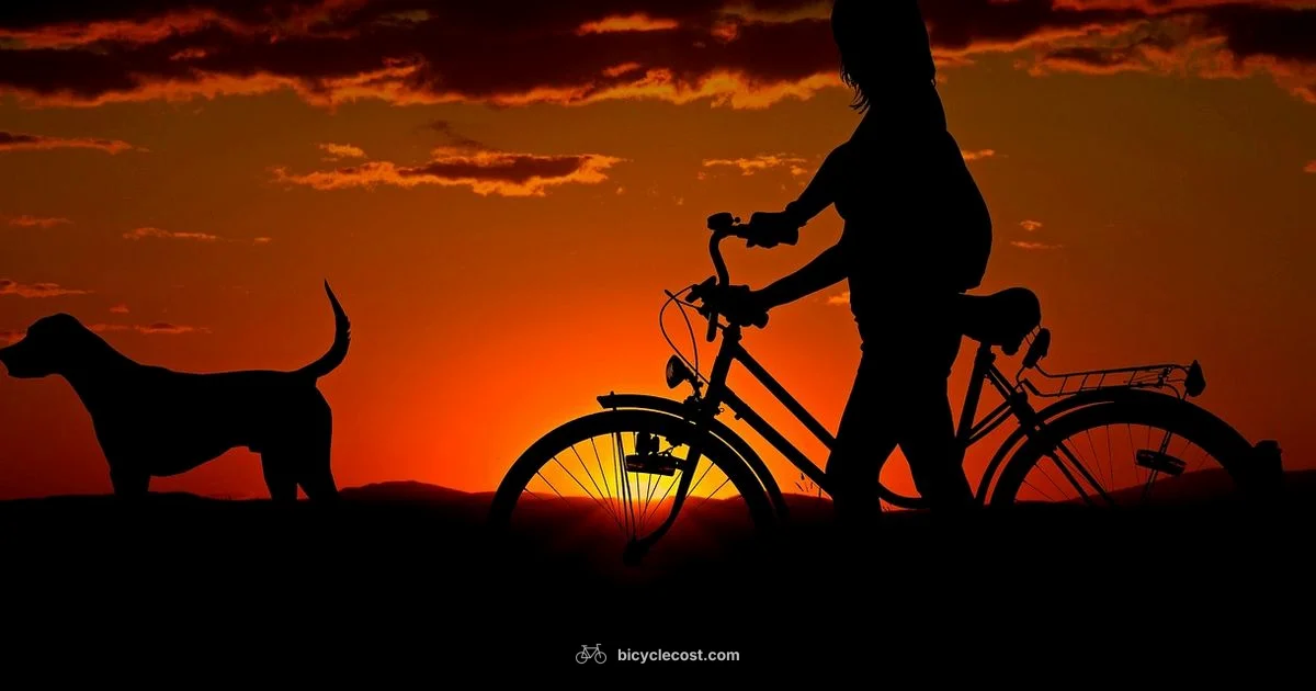 Bike Use Guide - BicycleCost