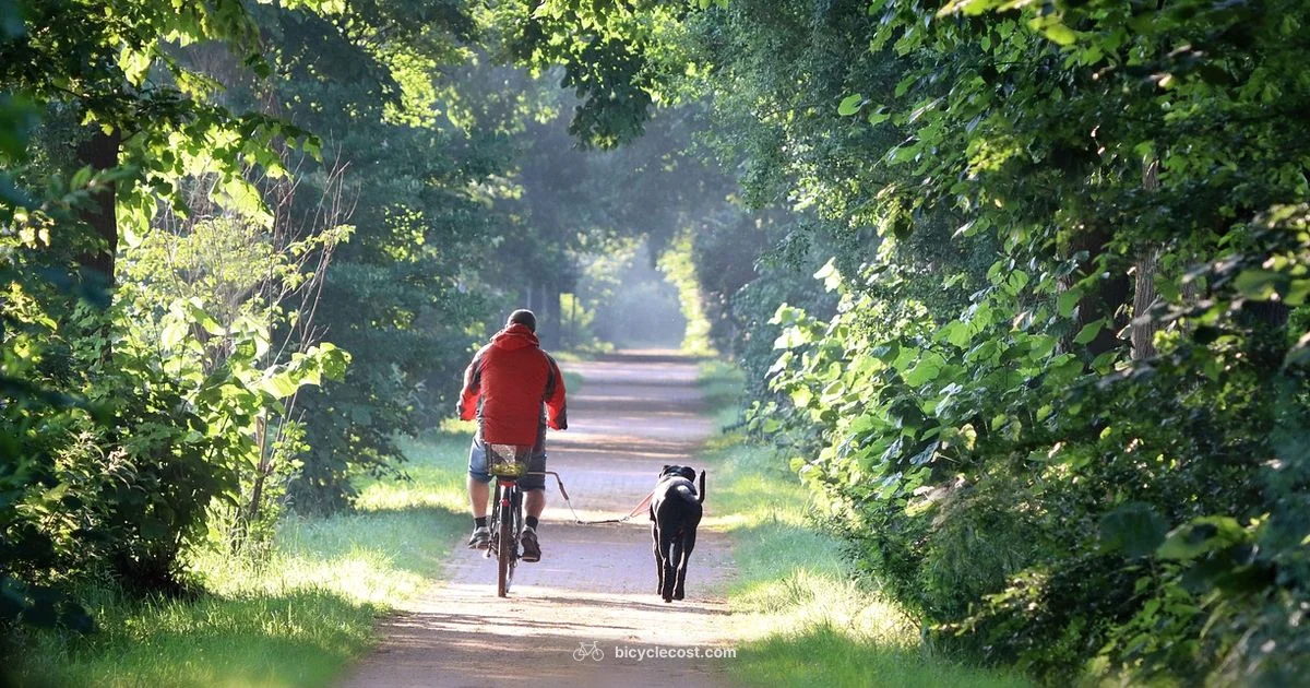 Pre-Ride Checklist - BicycleCost