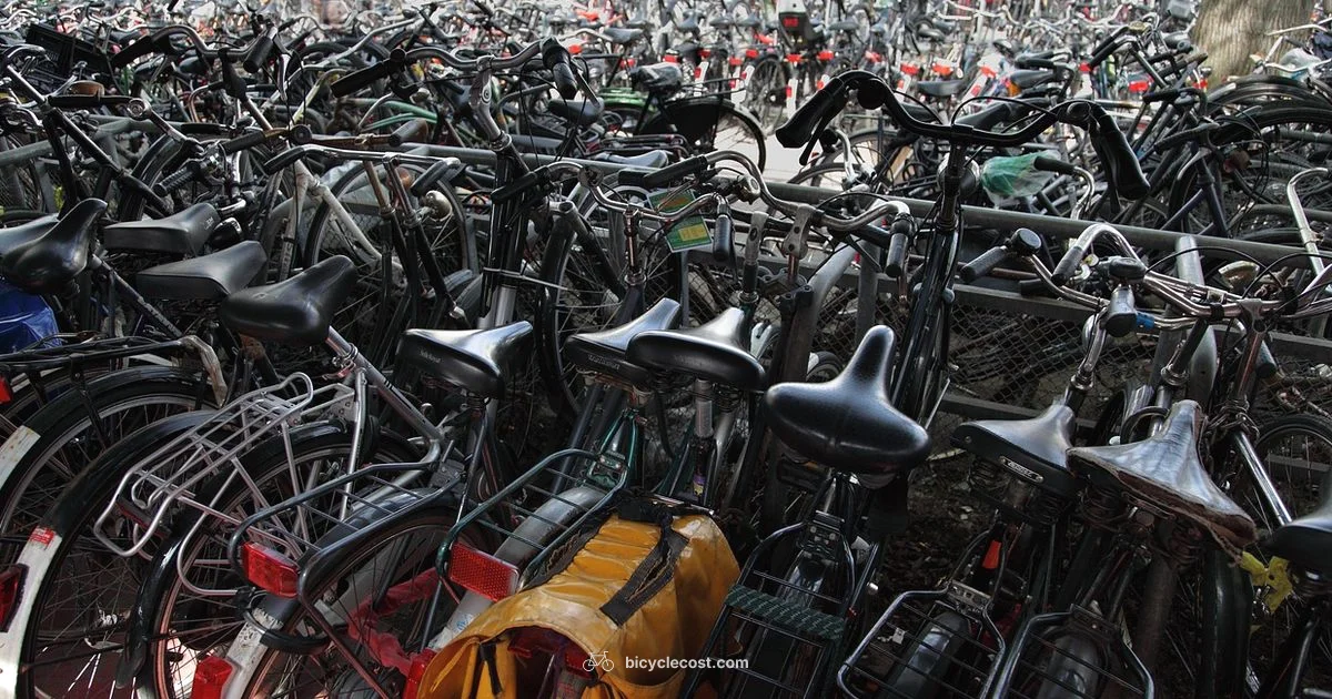 Bike Week This Week - BicycleCost