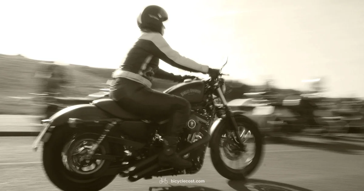 MTB vs Road Speed - BicycleCost