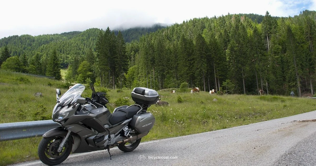 Bike Touring Essentials Bike Touring Essentials - BicycleCost