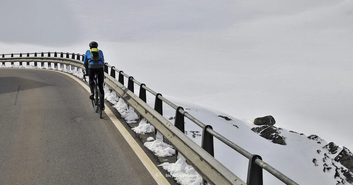 Cycle Sports Guide - BicycleCost