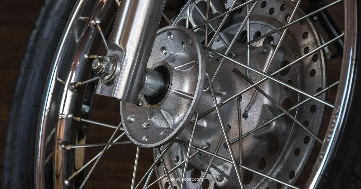 Bicycle Spokes Guide - BicycleCost