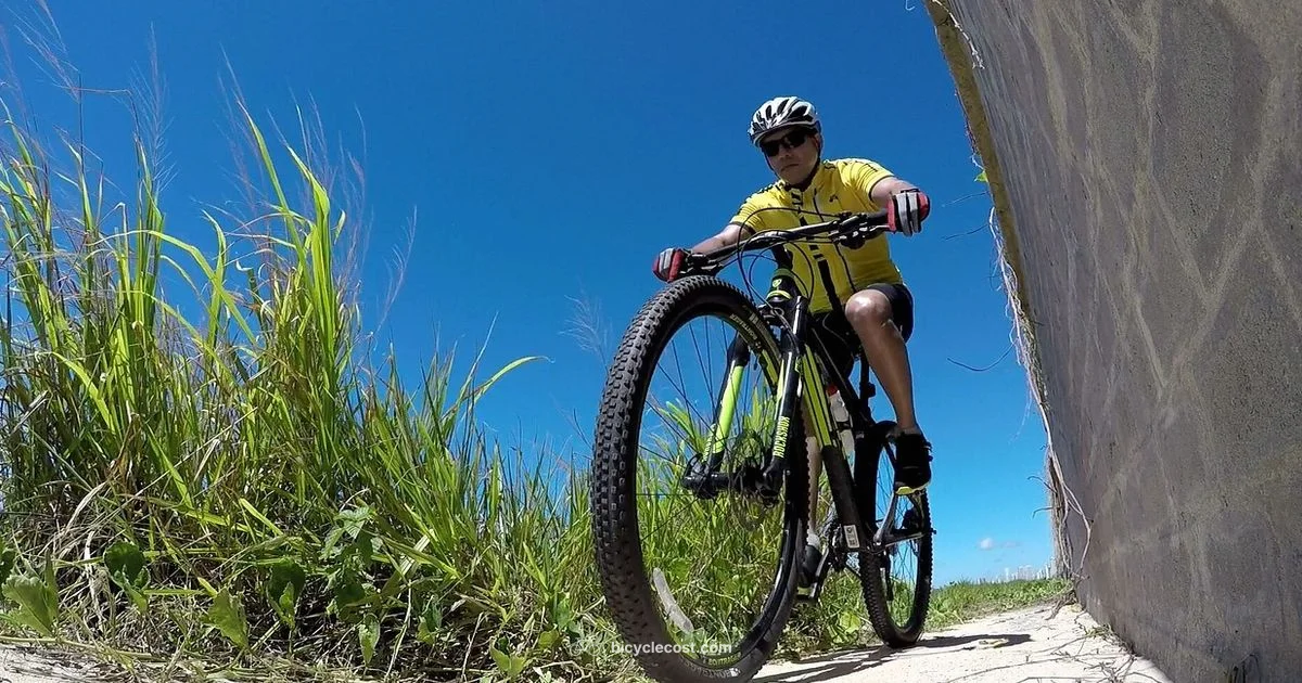 Riding Made Easy - BicycleCost