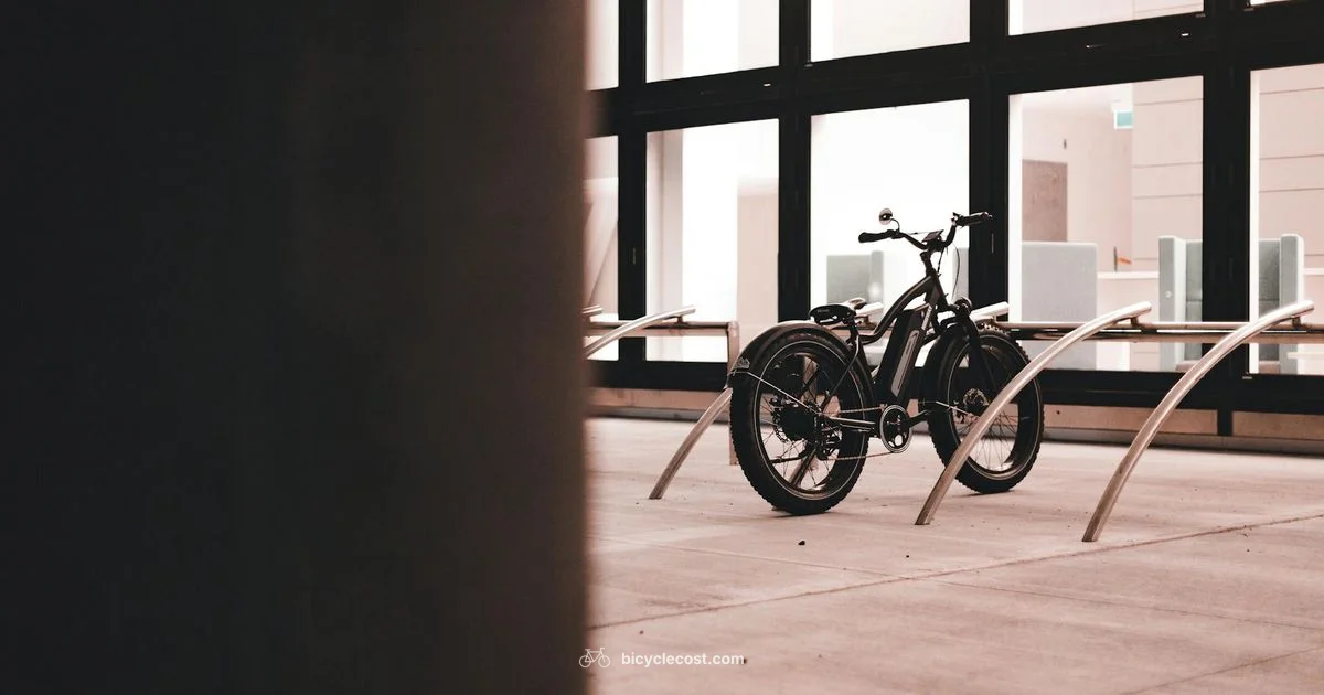 Budget Bike Guide - BicycleCost