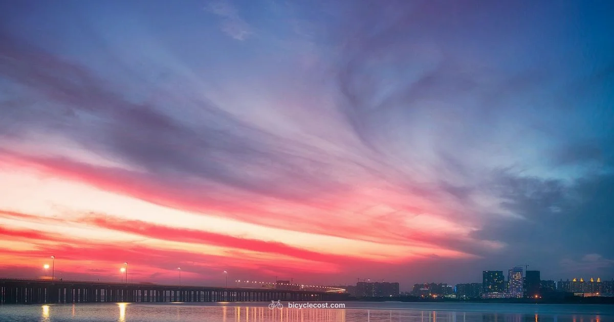 Speed Demystified - BicycleCost