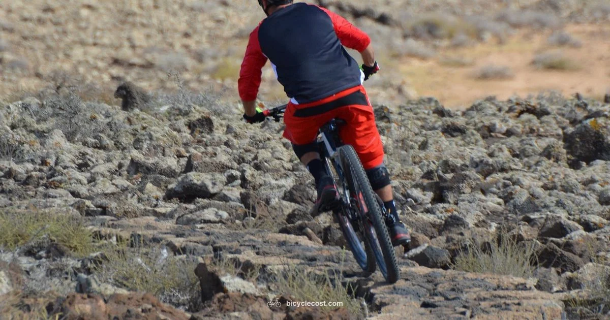 Best Bike Helmet Guide - BicycleCost