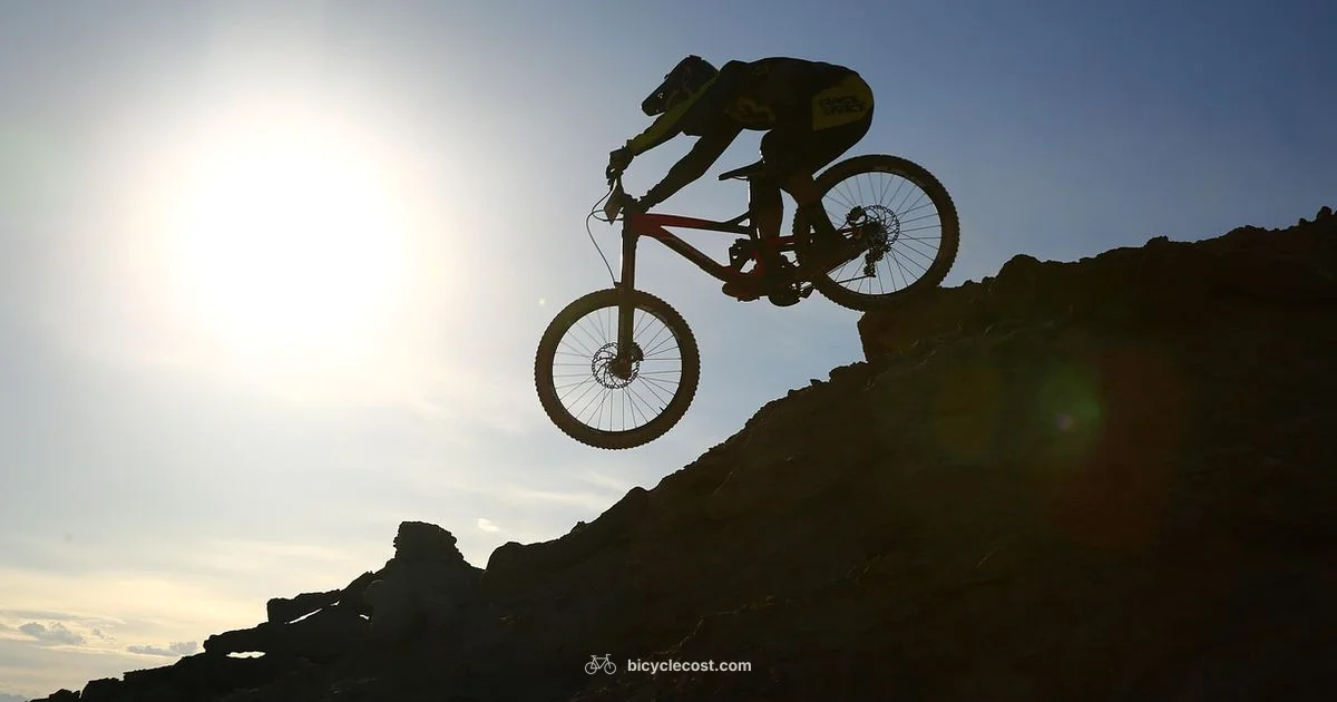 Evolution of a Meme Evolution of a Meme - BicycleCost