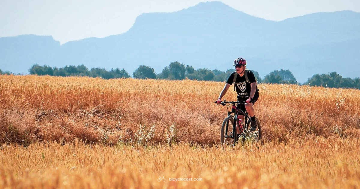 Healthful Cycling - BicycleCost