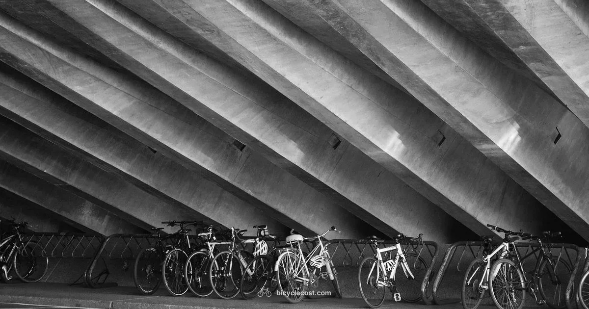 Bicycle Socks Guide - BicycleCost