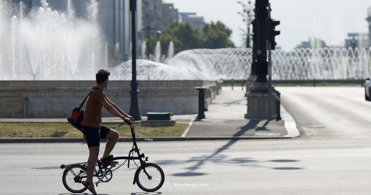 Learning to Ride - BicycleCost