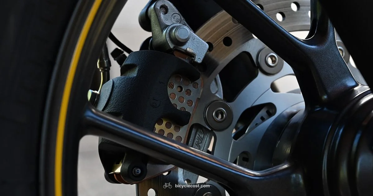 Disc Brake Basics - BicycleCost