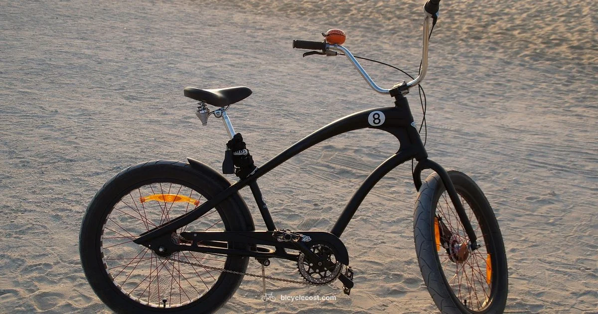 Beach Cruiser Basics - BicycleCost