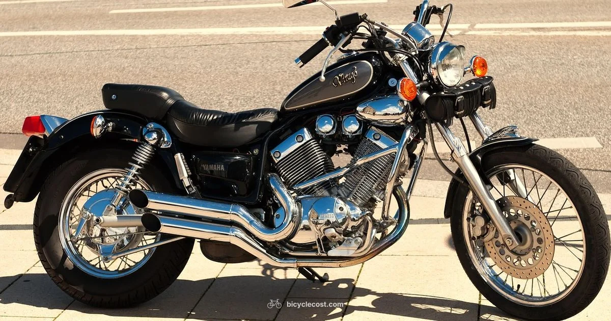 Yamaha 125cc Guide - BicycleCost