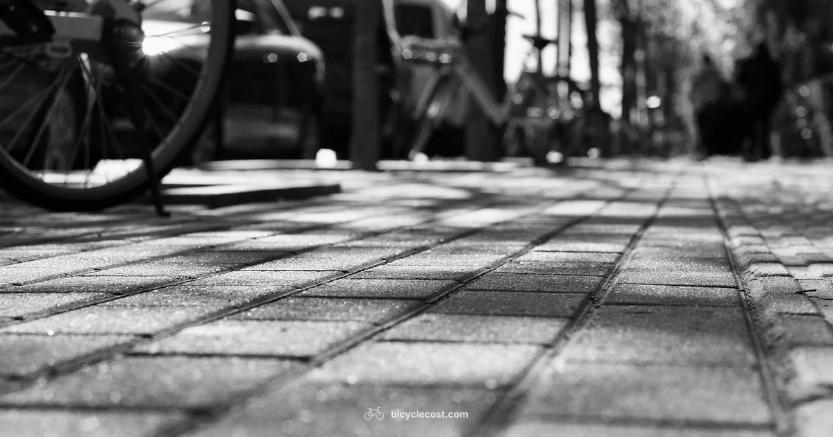 Japan Bicycle Registration - BicycleCost