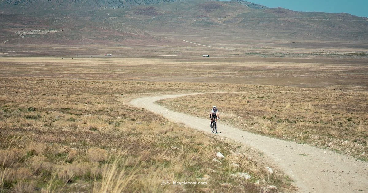 Road Riding Basics - BicycleCost