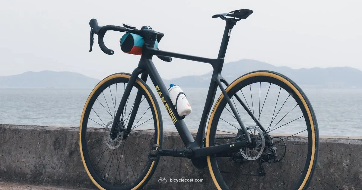 Top Road Bikes 2026 - BicycleCost