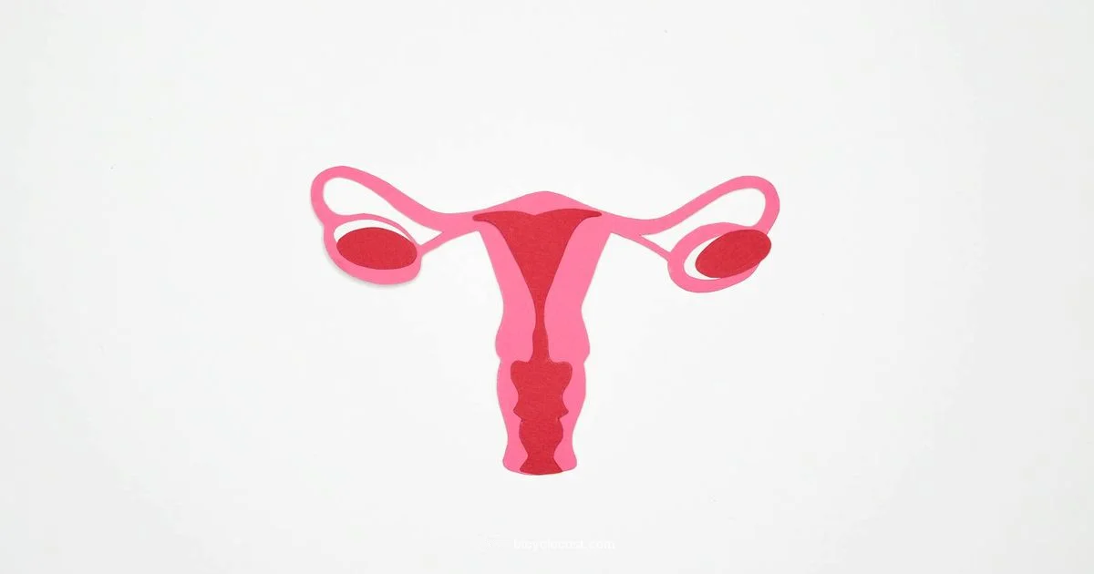 Cycle Changes - BicycleCost