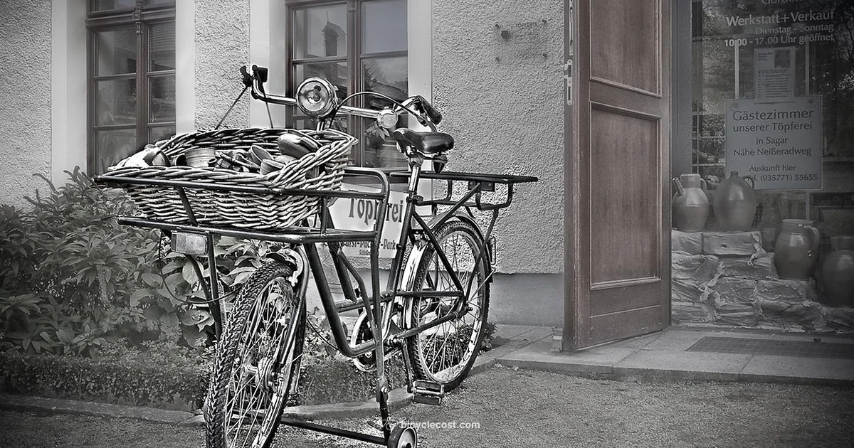 Buy Your First Bike - BicycleCost